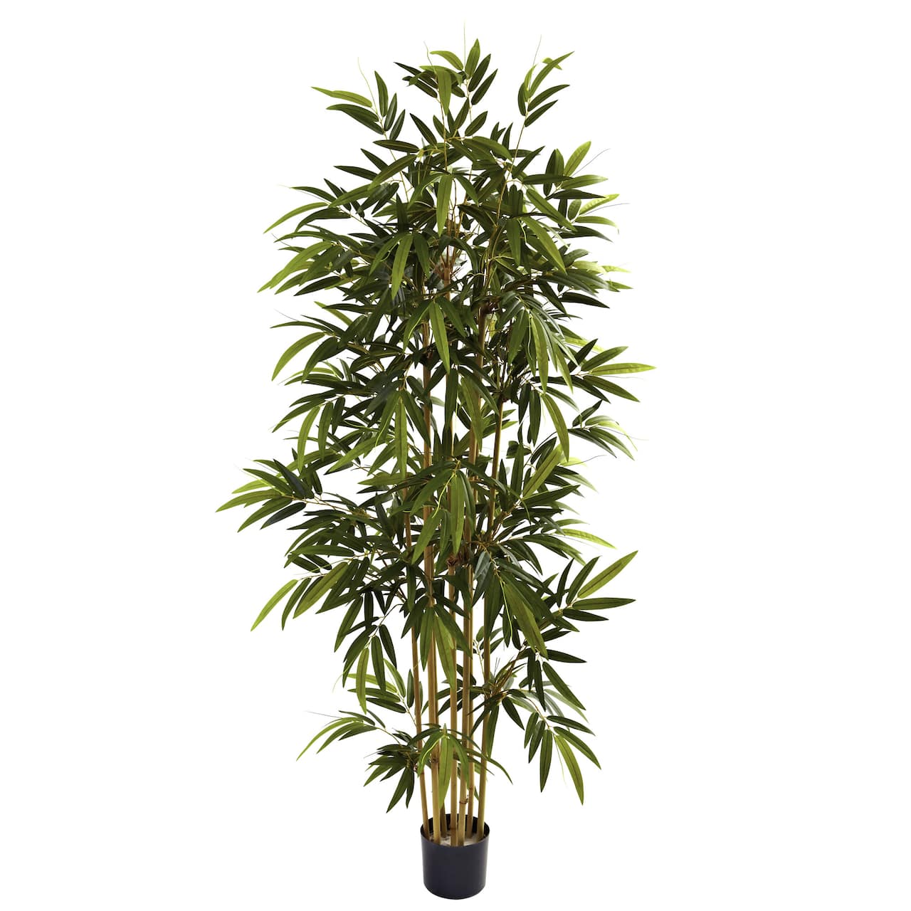 6ft. Potted Bamboo Tree